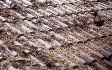 Forres roof cleaning companies