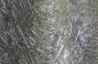 Forres fibreglass roof work